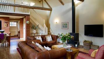 Smart TV, fireplace, books