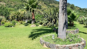 A lush garden with palm trees, a variety of shrubs, and a stone border.