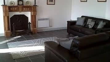 Smart TV, fireplace, video games, DVD player