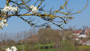 Plattelandsgezicht met een kerk, huizen en bloeiende bomen.
