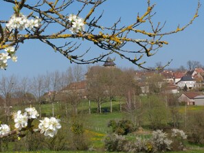 المنطقة المحيطة بالمنشأة