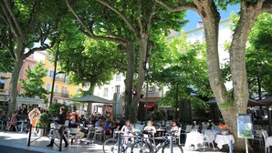 Un café en plein air avec des tables et des chaises placées sous de grands arbres, entouré de bâtiments.