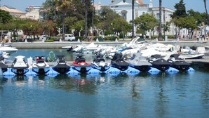Marina con varios barcos amarrados, un edificio blanco con cúpula al fondo y palmeras bordeando el muelle.