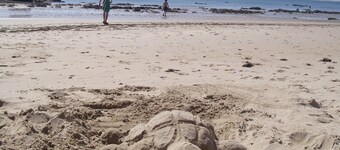 Peaceful & secluded, set in beautiful countryside & only 30 mins from the sea