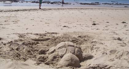 Peaceful & secluded, set in beautiful countryside & only 30 mins from the sea