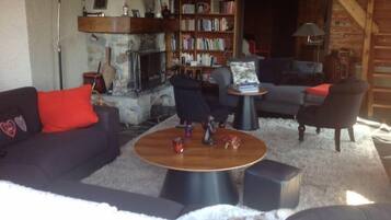 Smart TV, fireplace, DVD player, video library