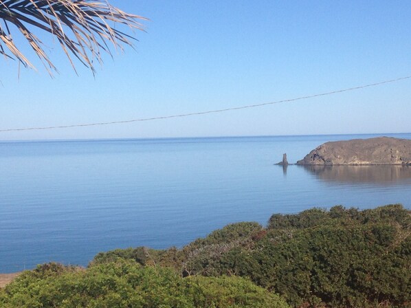 A coastal landscape with a clear view of the sea, a rocky outcrop, and dense greenery in the foreground. - Panoramic villa with swimming pool, facing the sea (Pistis)