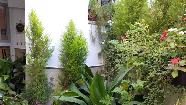 Un patio con varias macetas y un suelo de baldosas.