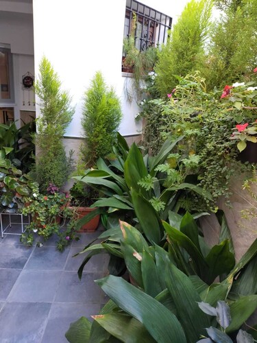 Spacious and comfortable apartment A 7 KM FROM THE KING AND WIFI CAMINITO FREE