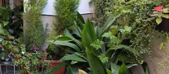 Rymlig och bekväm lägenhet A 7 km från kungen och WiFi Caminito FRI