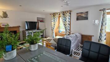 Smart TV, chimenea y reproductor de DVD