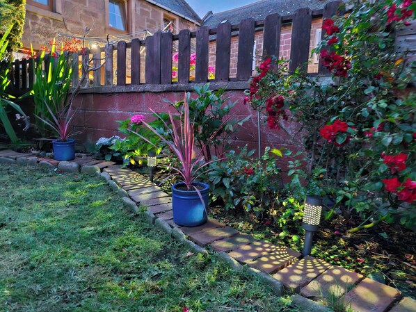 A garden pathway with potted plants and a wooden fence.