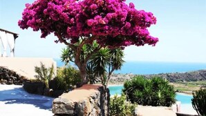 A tree with vibrant pink flowers, a pool, and a view of the sea. - RESIDENCE VENUS DREAM (Pantelleria)