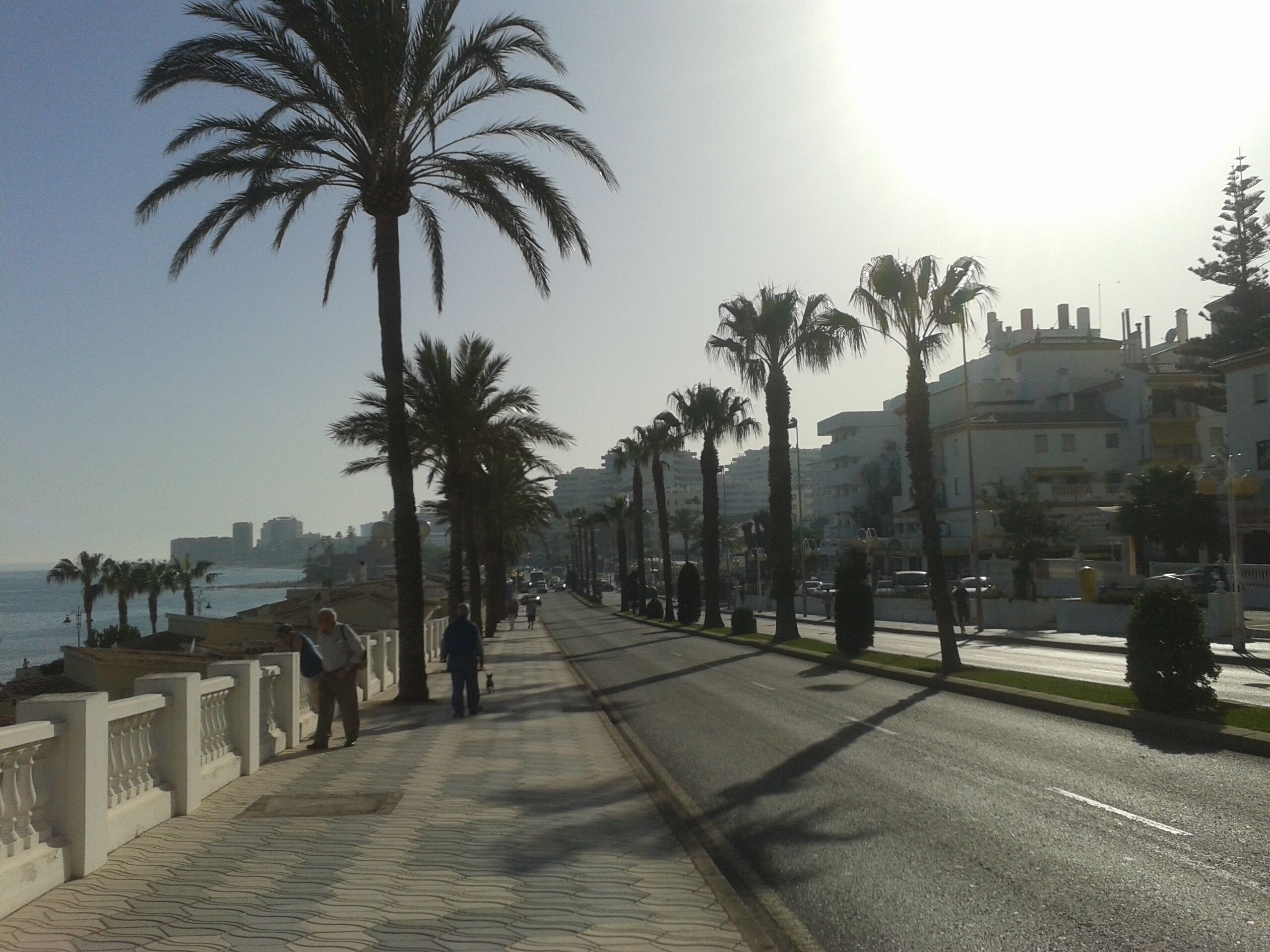 A coastal promenade with palm trees, a paved walkway, and buildings in the background.
