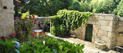 Terrein van de accommodatie