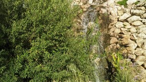 A small waterfall in a landscaped garden area with dense greenery and a stone wall. - Apartment With Fabulous Sea Views, Excellent Facilities, Heated Indoor Pool (malaga)