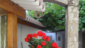 Un vaso di cemento con fiori rossi sotto una pergola.