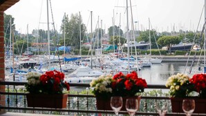 Un port de plaisance où sont amarrés de nombreux bateaux, avec une vue sur l’eau et, au premier plan, des plantes en pot ornées de fleurs.