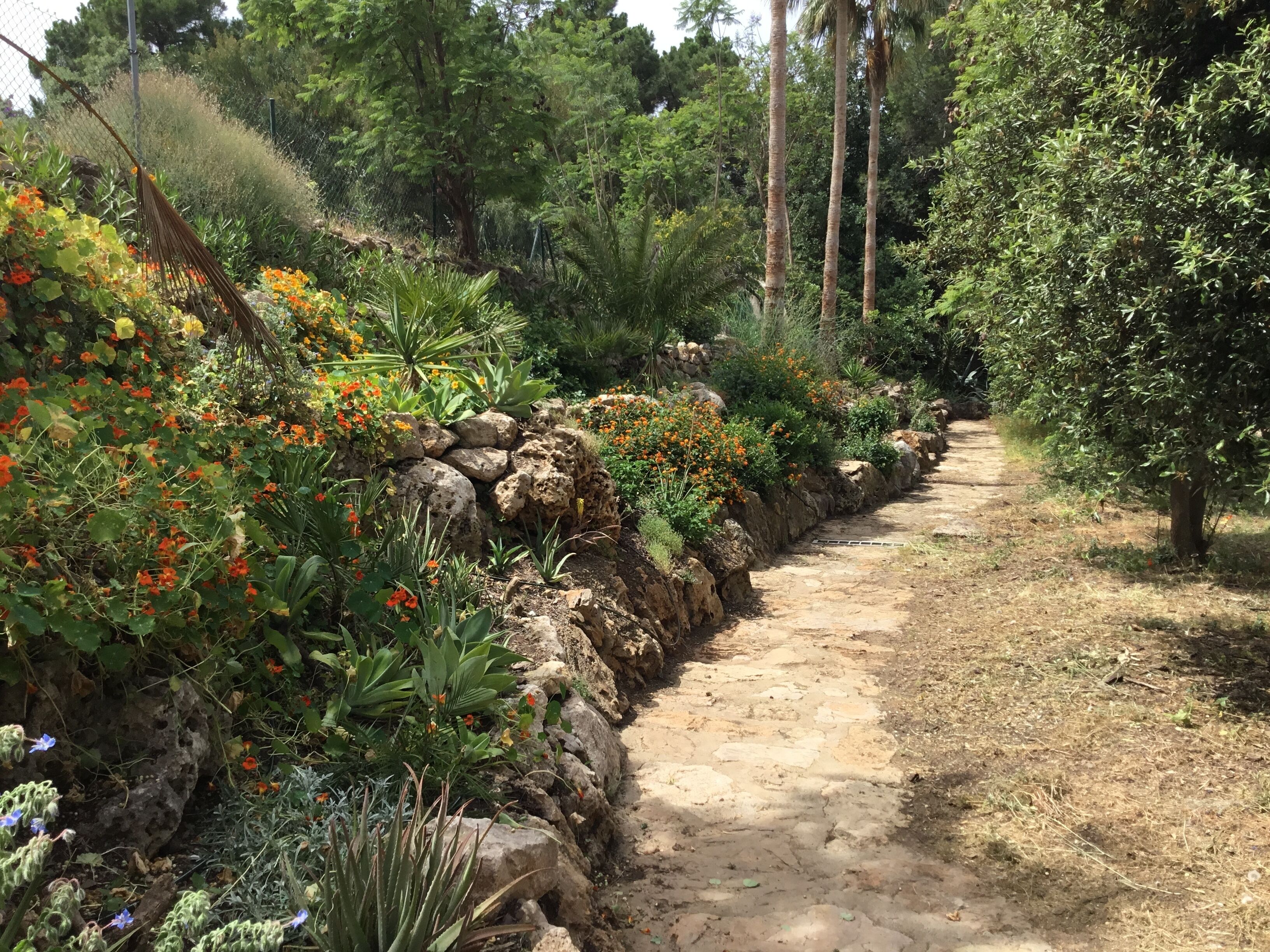 Overnattingsstedets uteområder