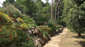 A garden pathway lined with various plants and flowers. - Lovely Andalucian villa in a quiet, green neighborhood (Estepona)