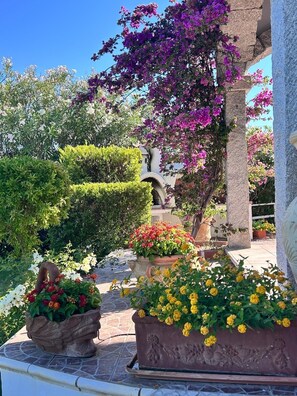 Un jardin agrémenté de diverses plantes à fleurs et comprenant une structure en pierre.