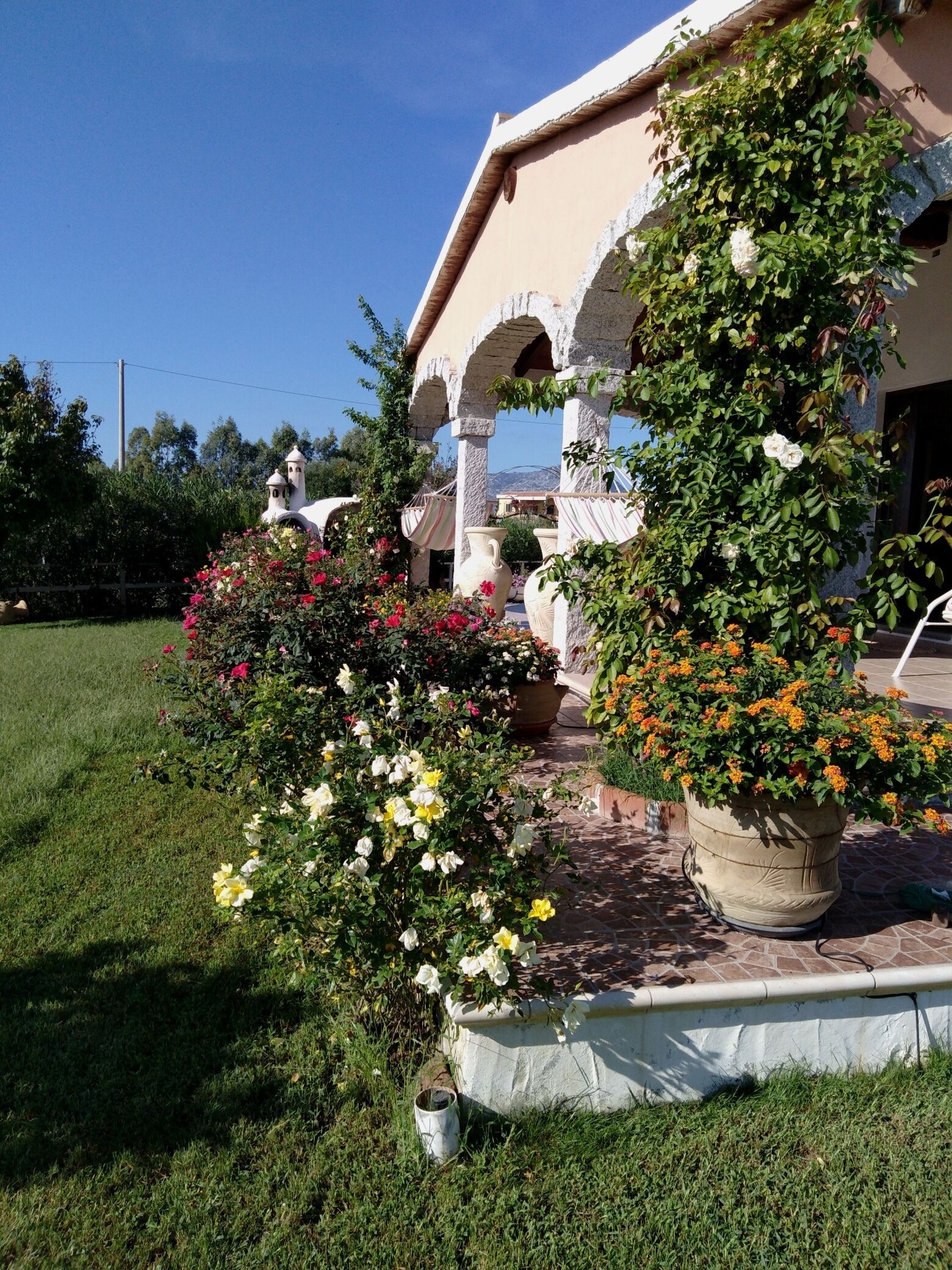 Parco della struttura