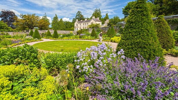 Un jardín bien cuidado con diversas plantas y flores, césped y un edificio grande al fondo.