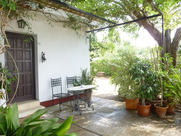 A patio with a table and chairs, surrounded by potted plants and a large tree.