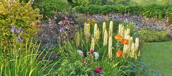 En Gidleigh Park. Unikt luksus sommerhus i magisk skov, Chagford, Devon