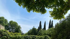 A gravel courtyard with potted plants and tall trees. - Character house surrounded by vineyards 6 pers (Bollène)