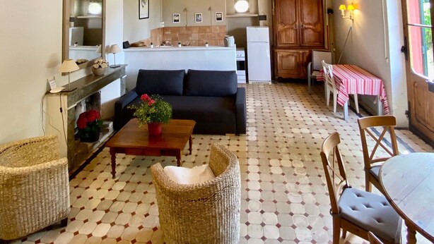 A cozy living room with a sofa, a dining table with chairs, a wicker chair, and a small table with a plant. - Character house surrounded by vineyards 6 pers (Bollène)