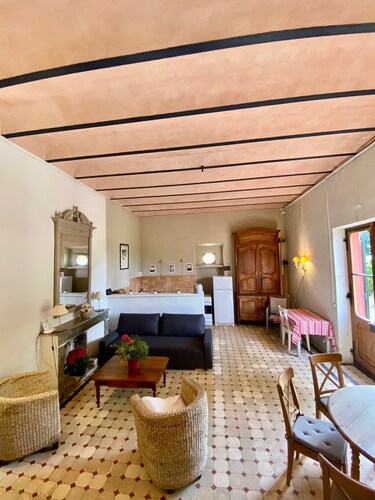 Character house surrounded by vineyards 6 pers
