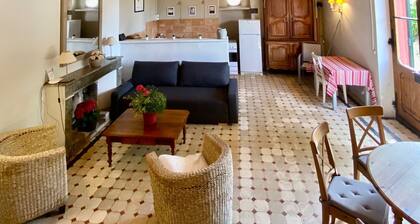 Character house surrounded by vineyards 6 pers
