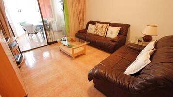 Una televisión, un reproductor de DVD