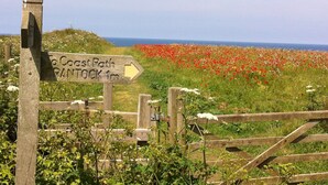 A wooden signpost with an arrow pointing to the coast path and Crantock.