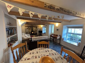 Smart TV, fireplace, DVD player, books