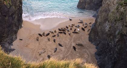 Cubert. Renovated 16th C. cottage Nr Crantock Holywell and Polly Joke beaches