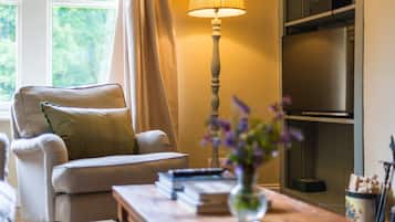 Smart-TV, DVD-Player, Bücher