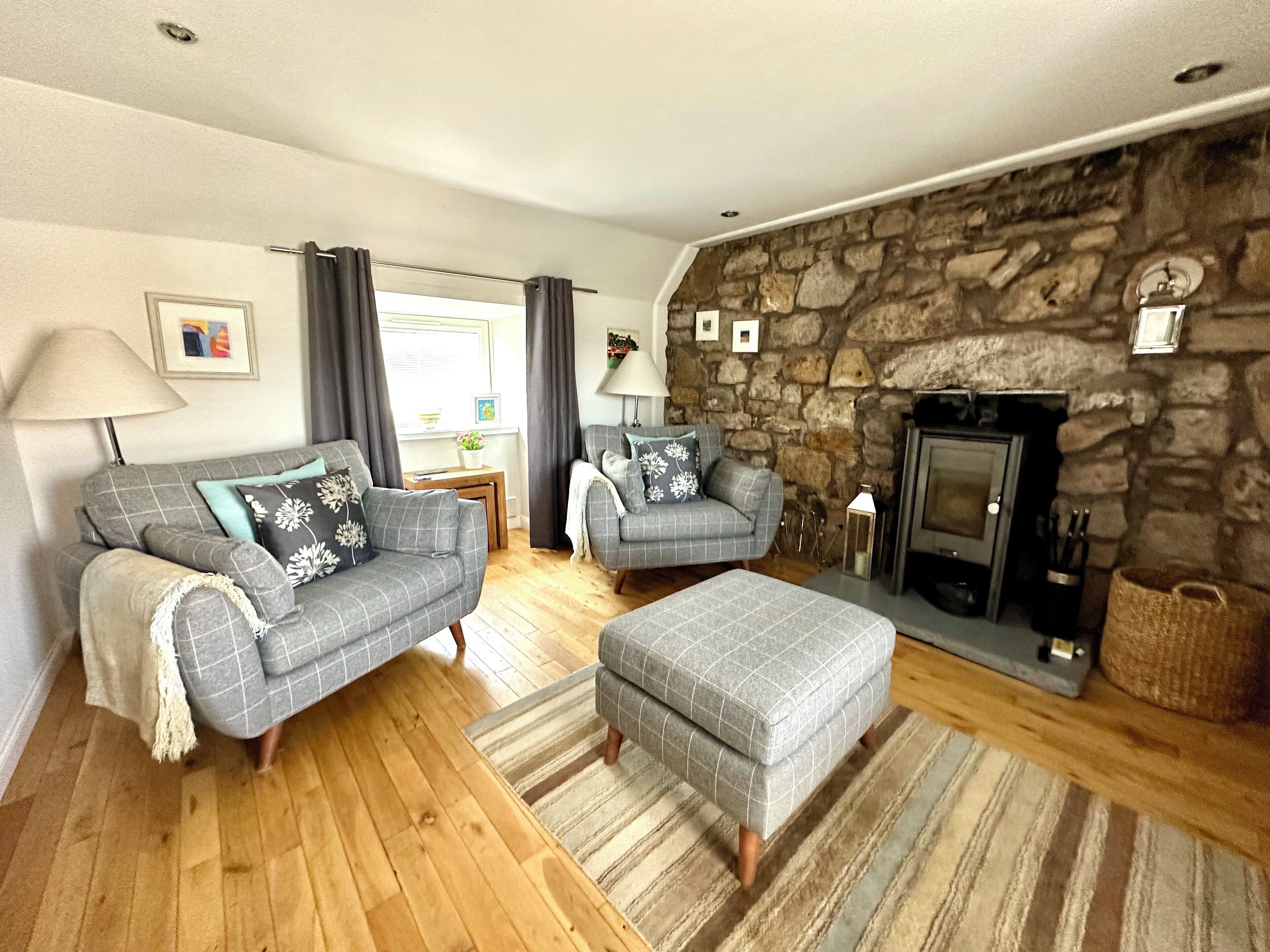 智能电视、壁炉、DVD 播放器、书