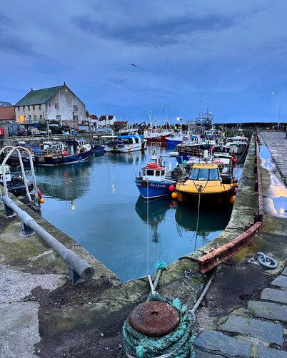 Romantic Boutique Bolthole In Pittenweem Near St Andrews. Small dogs welcome.