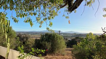 Ărea da propriedade