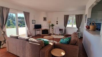 Smart TV, fireplace, DVD player, books