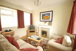 Télévision, cheminée, lecteur de DVD, table de tennis de table