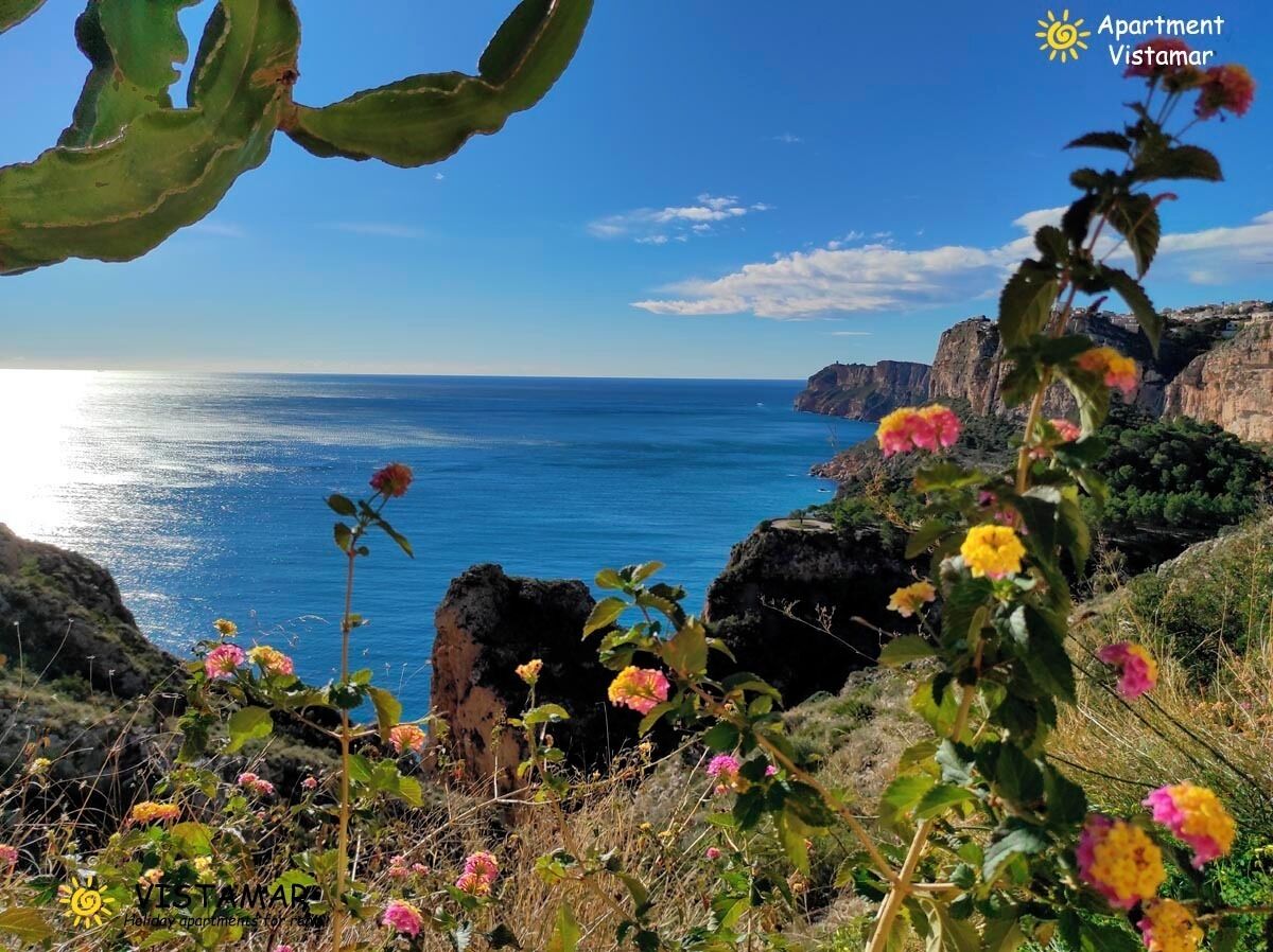 A coastal landscape with cliffs and a clear view of the sea.