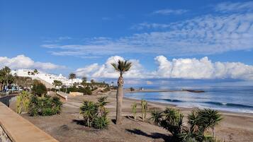 Tumbonas y toallas de playa