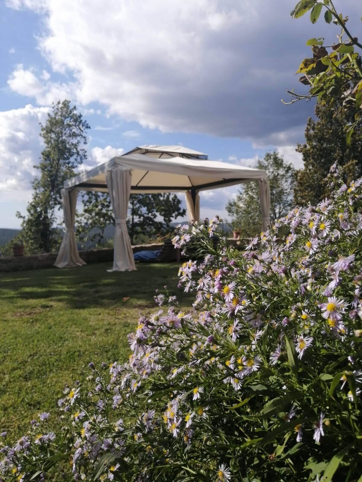 Overnatningsstedets område