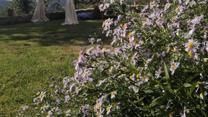 Un espace extérieur abrité, doté d’une structure en forme de pergola, entouré d’une végétation luxuriante et de plantes en fleurs.