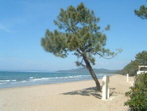 Playa en los alrededores