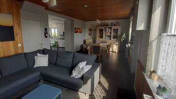 TV connectée, cheminée, livres, médiathÚque