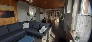 Smart TV, fireplace, books, music library